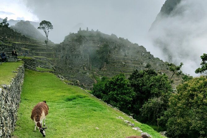 full-day-excursion-to-machu-picchu-from-cusco