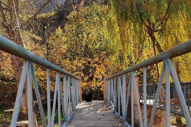 Full Day Excursion Tour to Ourika Valley - The Value and Practicalities