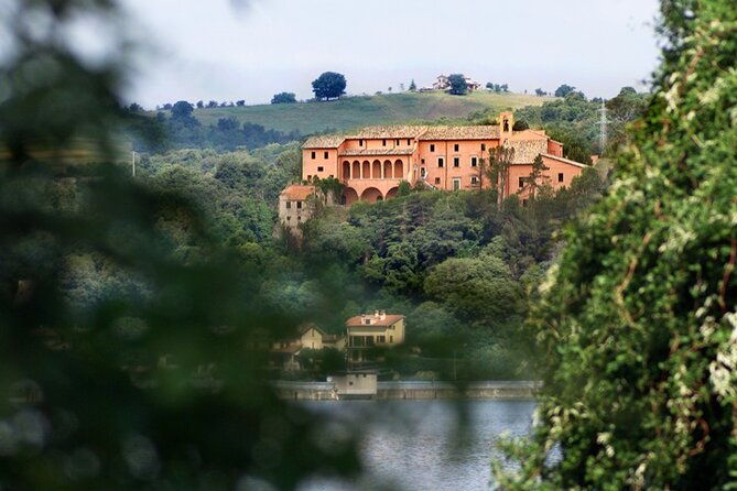 full-day-experience-tasting-art-among-the-orvieto-vineyards