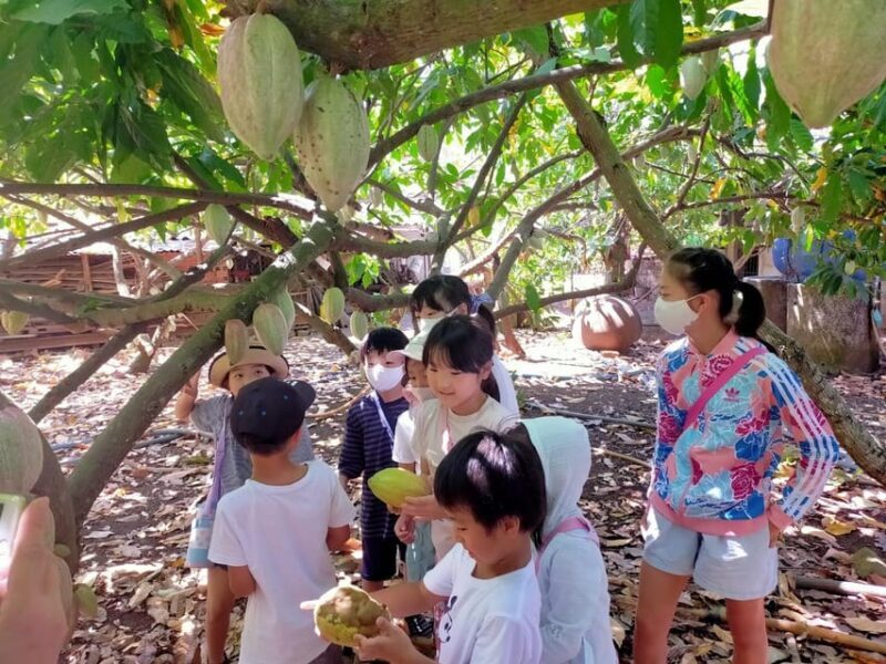 Full Day Experience to Farm and Chocolate - Final Thoughts