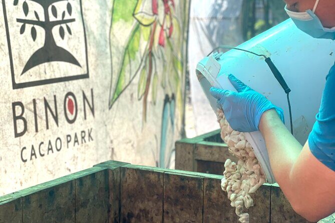 Full Day Experience to Farm and Chocolate - Key Points