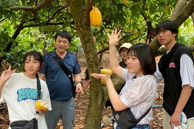 Full Day Experience to Farm and Chocolate - Who Is This Tour Best For?