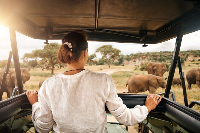 Full Day Exquisite Pilanesberg Safari from Johannesburg - Key Points