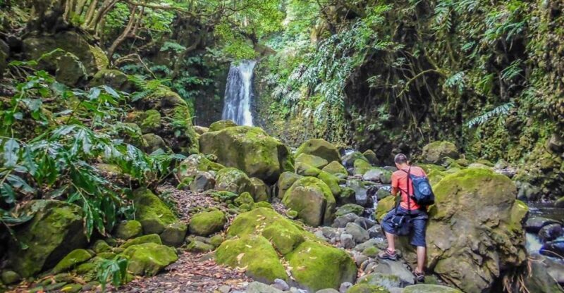 Full-Day Faial da Terra + Nordeste from Ponta Delgada - Exploring the Azores: Full-Day Faial da Terra + Nordeste Tour from Ponta Delgada