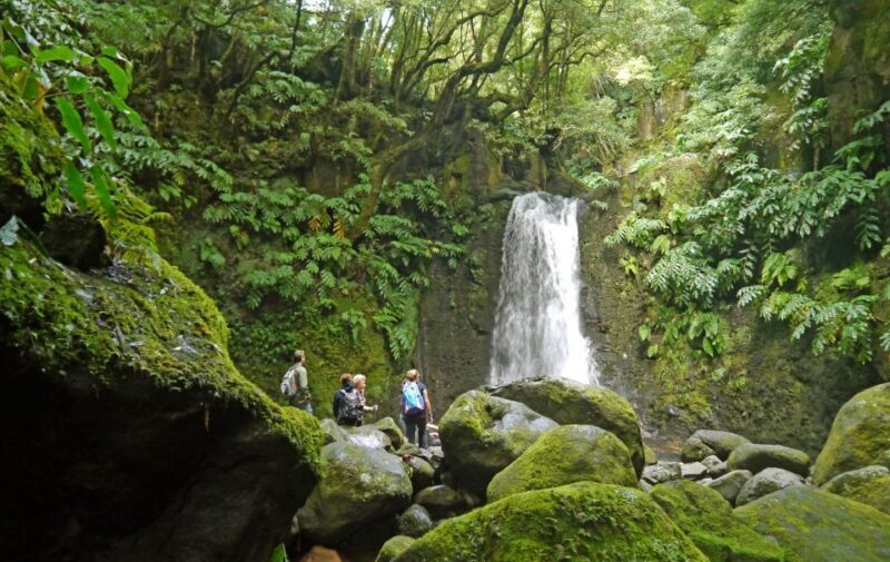 Full-Day Faial da Terra + Nordeste from Ponta Delgada - Why You Should Consider This Tour