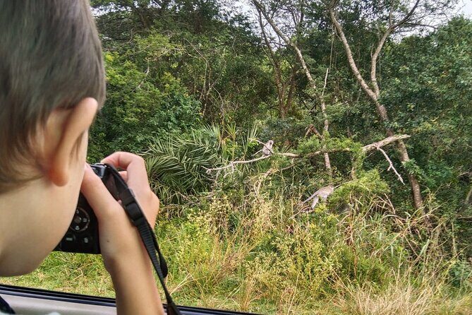 Full-Day Family Hluhluwe iMfolozi Park Safari Experience - Key Points
