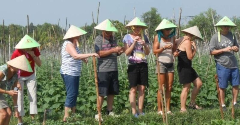 Full-Day Farming & Cooking class at Agricultural Village - An Introduction to the Experience