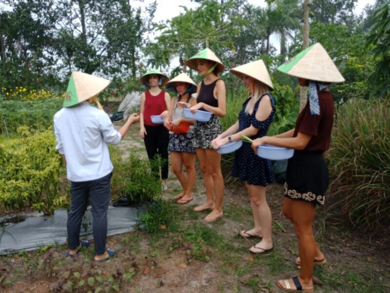 Full-Day Farming & Cooking class at Agricultural Village - Who Will Love This Tour?