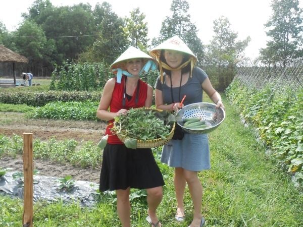 Full-Day Farming & Cooking class at Agricultural Village - The Sum Up