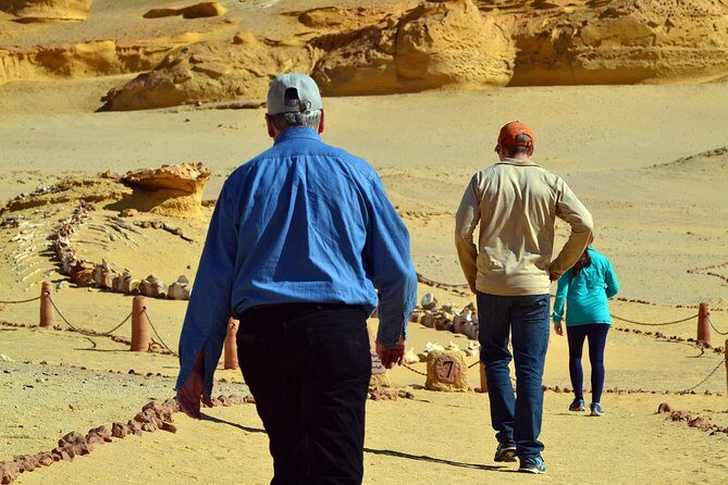 Full-Day Fayoum Oasis Private Tour from Cairo or Giza - Key Points