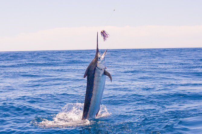 full-day-fishing-at-south-pearl-islands-on-private-yacht