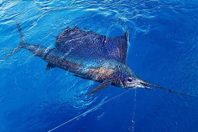 full-day-fishing-charter-inshore-or-offshore