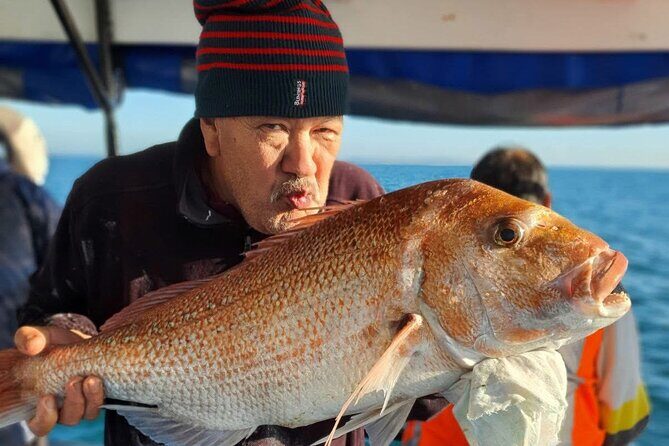 Full Day Fishing Trip on Auckland Waitemata Harbour - Full Day Fishing Trip on Auckland Waitemata Harbour