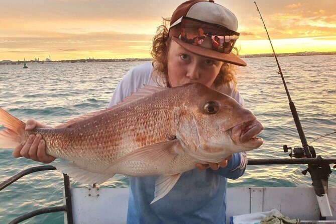 Full Day Fishing Trip on Auckland Waitemata Harbour - Setting the Scene: What to Expect on This Full Day Adventure