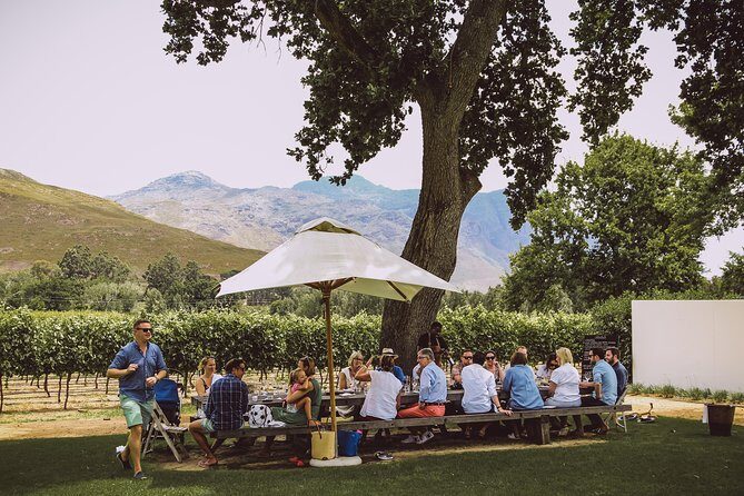 Full-Day Franschhoek Hop On Hop Off Wine Tram Tour from Cape Town - The Value Proposition: Is It Worth It?