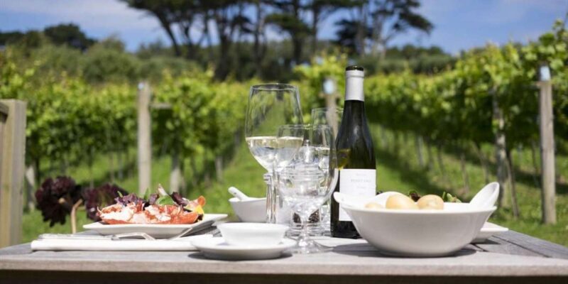 Full-Day Franschhoek tram Wine Tour from Cape Town - Who Will Love This Tour?