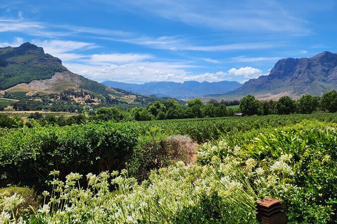 Full-Day Franschhoek Wine Tour from Cape Town - FAQ