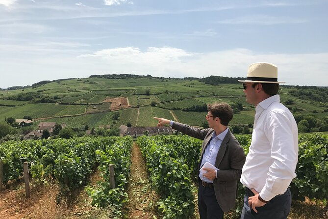 full-day-from-beaune-the-most-of-burgundy-with-lunch