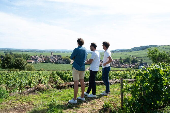 full-day-from-dijon-the-most-of-burgundy-with-lunch