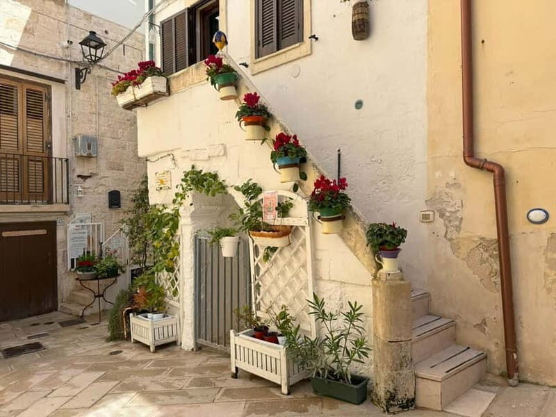 Full Day: From Matera to Alberobello, Polignano, and Bari - The Reviews: Authentic Insights