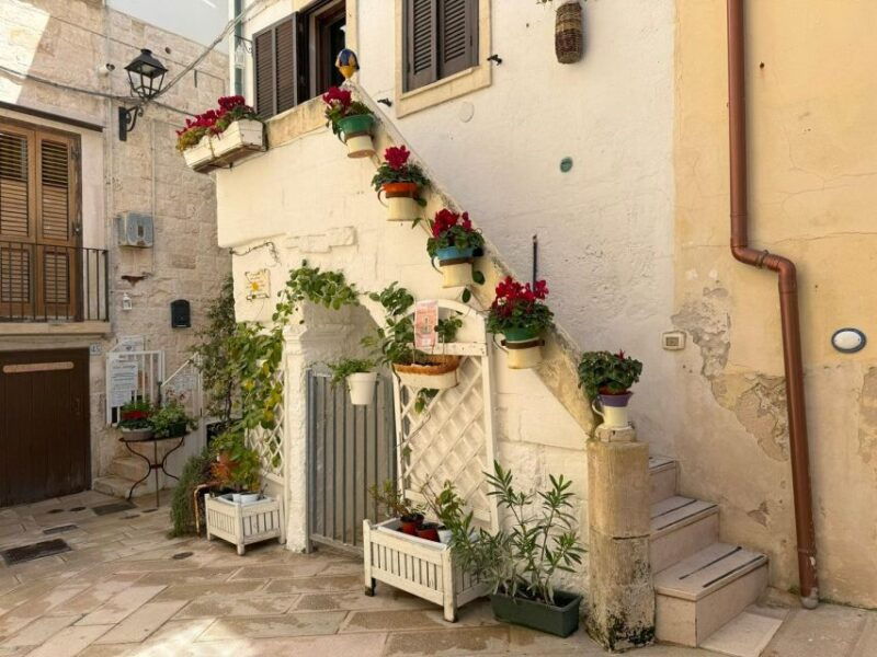 full-day-from-matera-to-alberobello-polignano-and-bari