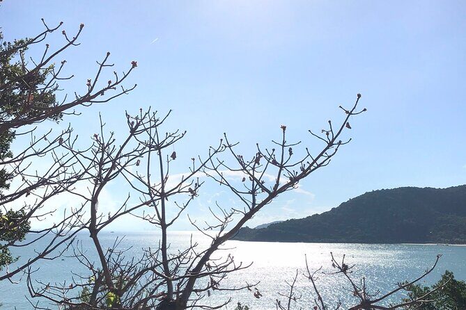 Full Day Fun Diving and Snorkeling By Tiger Fish Divers - The Sum Up