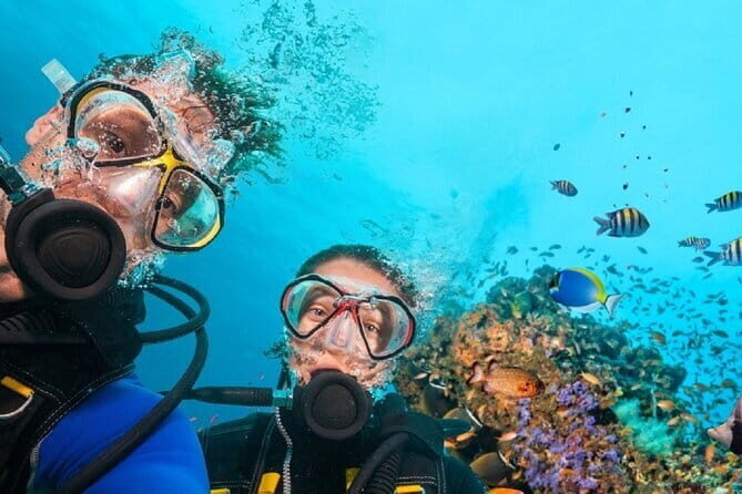 Full Day Fun Diving at Tulamben All inclusive - Complete Review of the Full Day Fun Diving at Tulamben All Inclusive