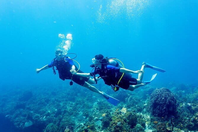 Full Day Fun Diving at Tulamben All inclusive - Setting the Scene: What to Expect from Your Day