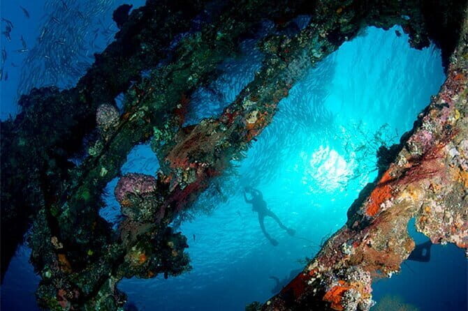 Full Day Fun Diving at Tulamben All inclusive - Who This Tour Is Best Suited For