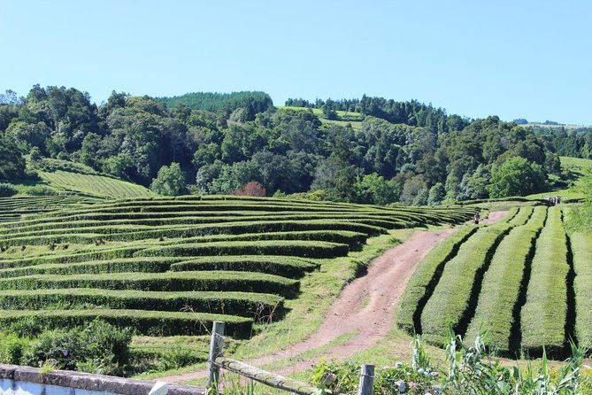 full-day-furnas-volcano-stew-and-hot-springs-2