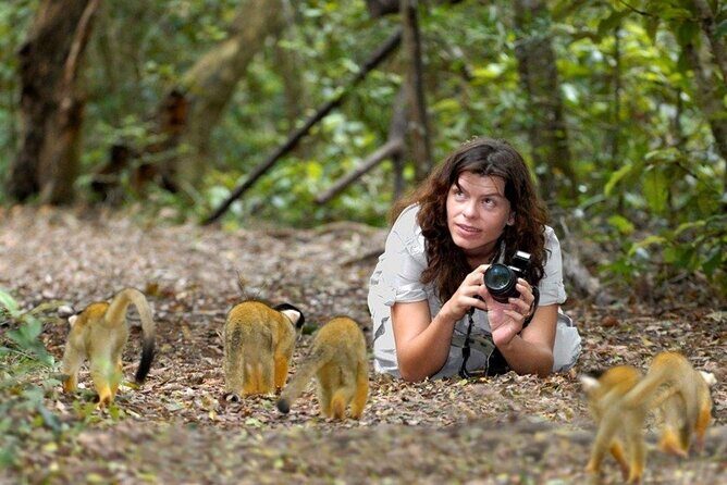 Full-Day Garden Route Safari from Port Elizabeth - Introduction: What Makes This Garden Route Safari Stand Out?