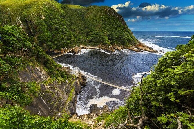 Full-Day Garden Route Safari from Port Elizabeth - FAQ