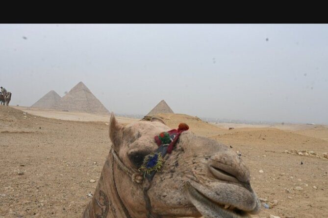 Full day Giza pyramids ,camel ride, Mummies museum and bazar - Exploring the Itinerary: What to Expect