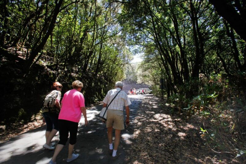 full-day-gomera-jeep-safari-excursion-from-arona