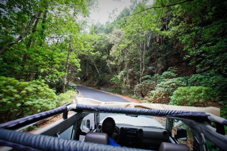 full-day-gomera-jeep-safari-excursion-from-arona