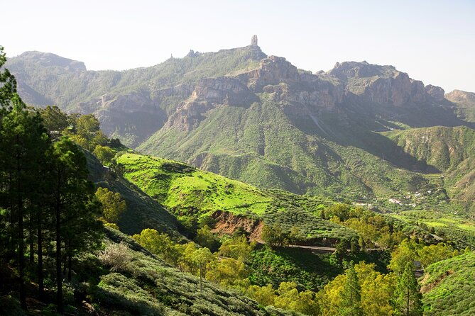 full-day-gran-canaria-tour-with-teror-tejeda-and-lunch-in-fataga