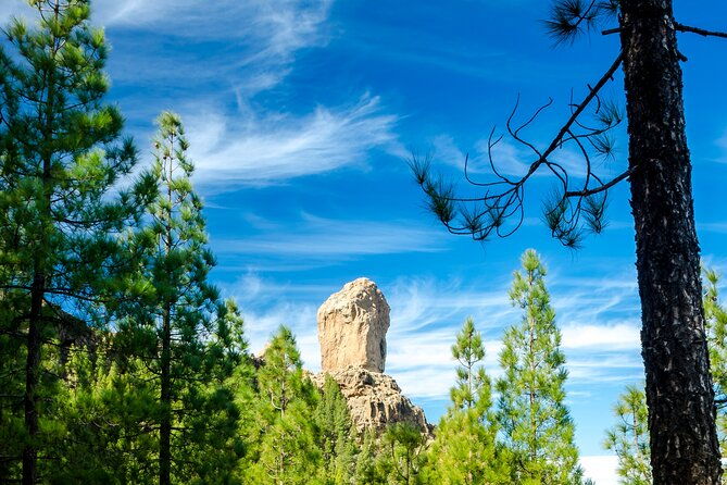 full-day-gran-canaria-tour-with-teror-tejeda-and-lunch-in-fataga