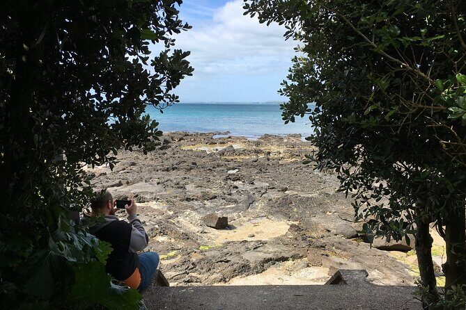 Full-Day Grand Auckland Volcanoes Tour - Transportation, Timing, and Group Size  