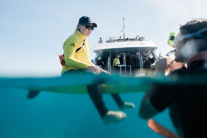Full-Day Great Barrier Reef Snorkeling from Hamilton Island - Who May Want to Consider Other Options
