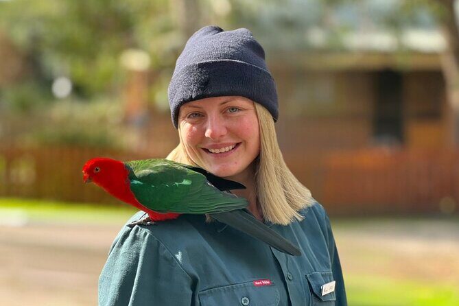 Full-Day Great Ocean Road and 12 Apostles Sunset Tour from Melbourne - FAQs