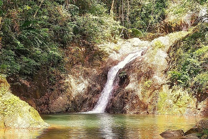 full-day-group-tour-in-tobago-atlantic-coast