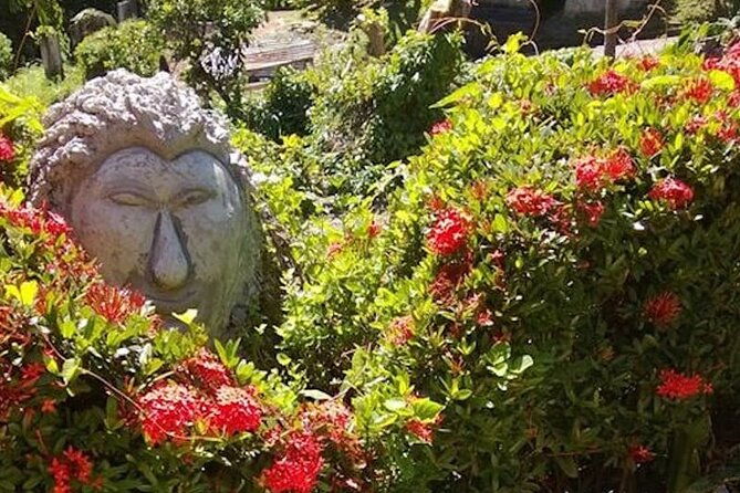 full-day-group-tour-in-tobago-atlantic-coast