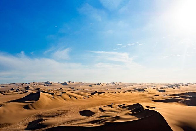 full-day-group-tour-paracas-and-ica-from-lima