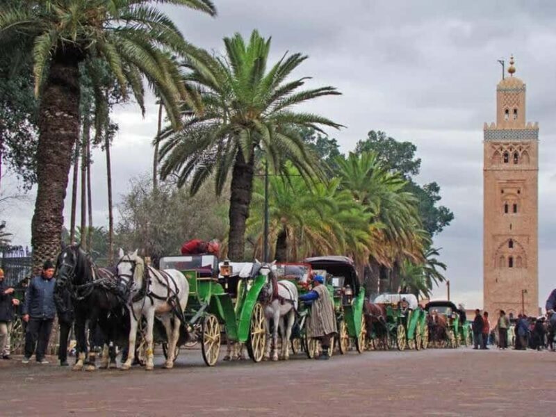 Full-Day Group Trip to Marrakech from Agadir - FAQ