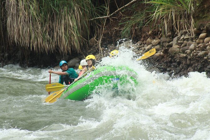 full-day-guided-adventure-tour-in-the-forest-of-san-ramon