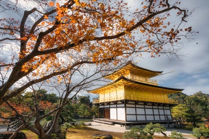 full-day-guided-kyoto-cultural-tour