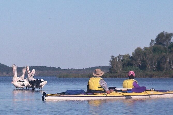 Full-Day Guided Noosa Everglades Kayak Tour - An Introduction to the Noosa Everglades Kayak Tour