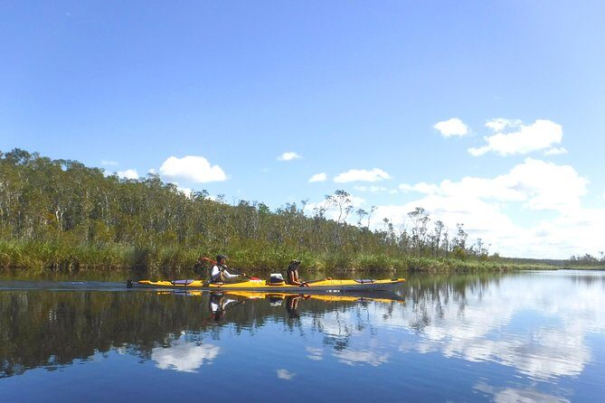 Full-Day Guided Noosa Everglades Kayak Tour - Why the Food and Refreshments Matter