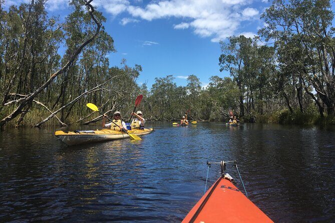 Full-Day Guided Noosa Everglades Kayak Tour - Practical Tips for Your Trip