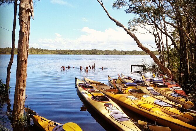 Full-Day Guided Noosa Everglades Kayak Tour - Authentic Feedback from Travelers